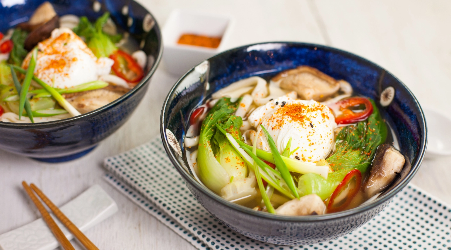 Udon Noodle Soup 